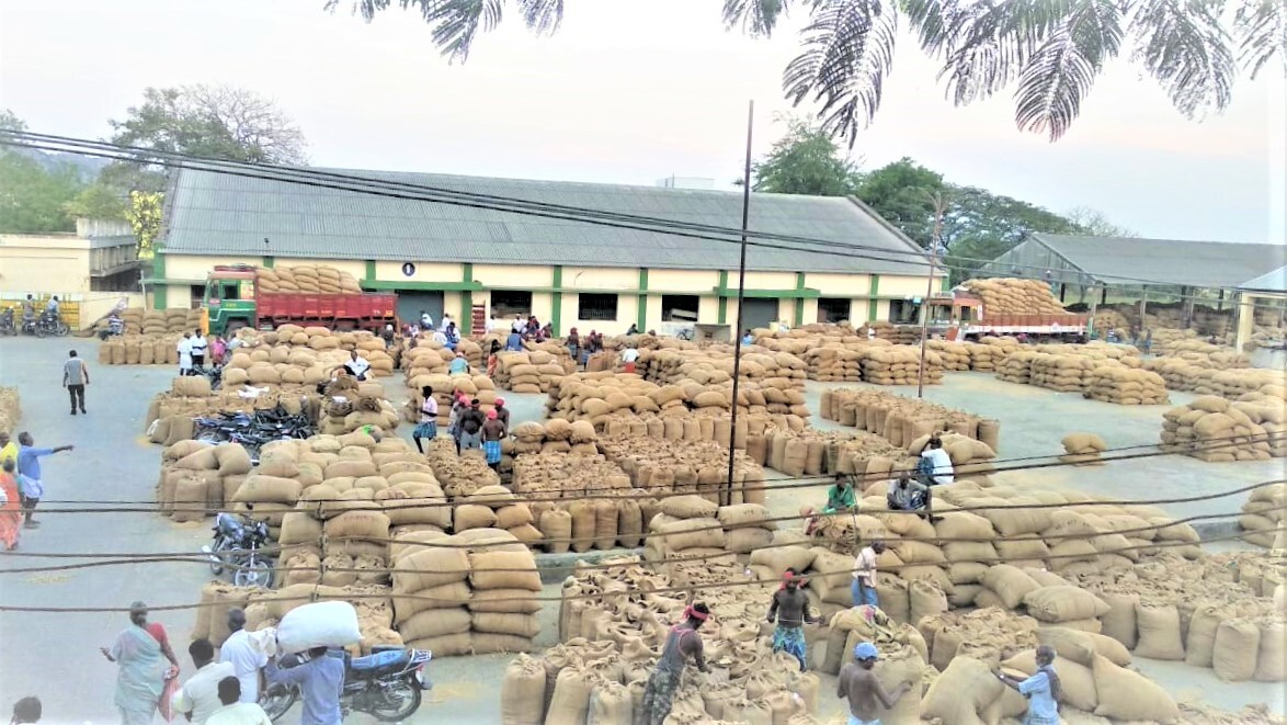 Welcome to Department of Agriculture Marketinge