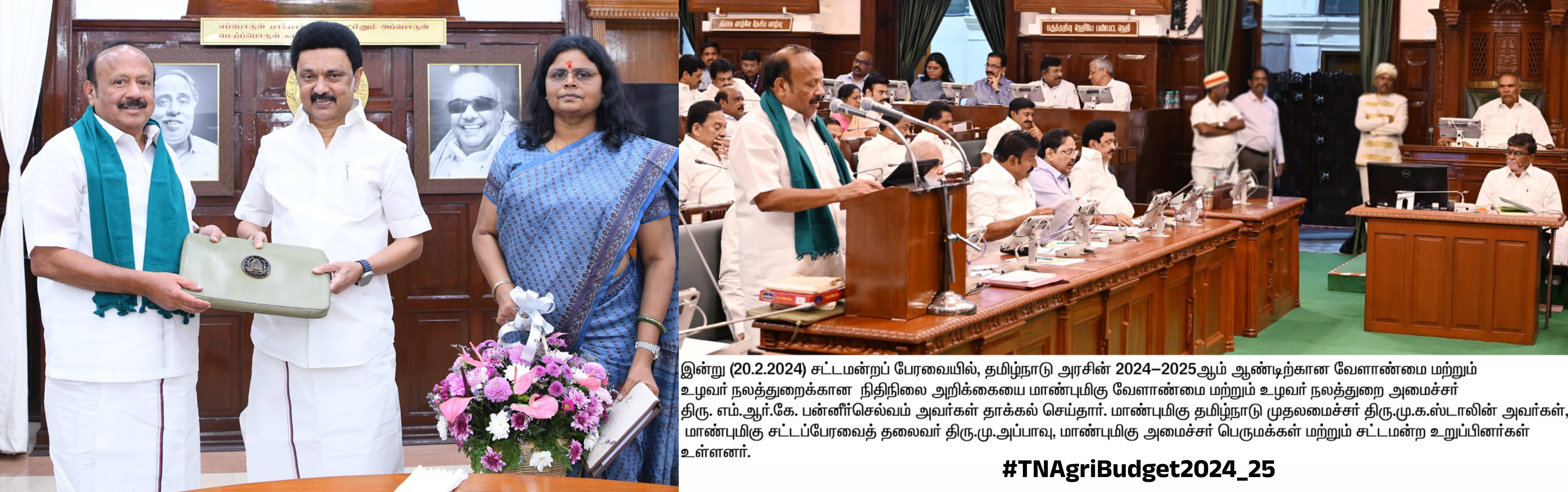 TNAGRIBUDGET2024-25